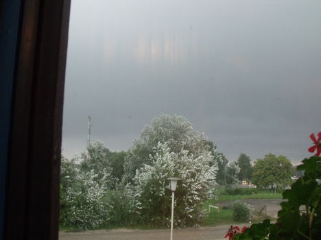 DSCF4604