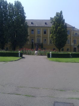 EGRI KÉPEK