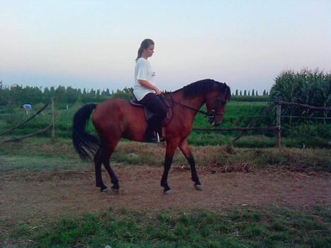 Ismét ♥