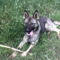 Leon