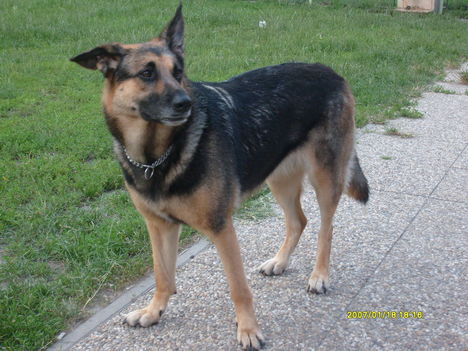 Roxy