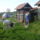 Sarud