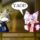 wiii ^w^