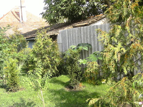 PICT2002