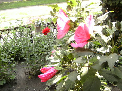 PICT2006