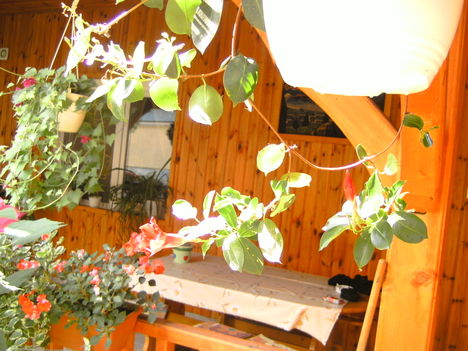 PICT2009