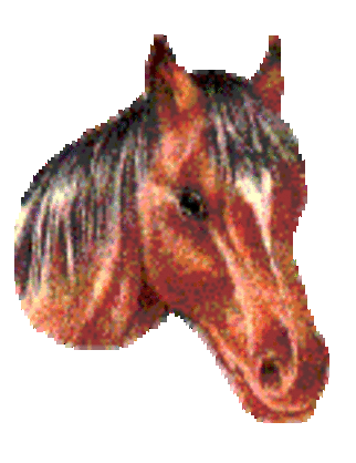 1153016285