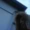 DSC00314