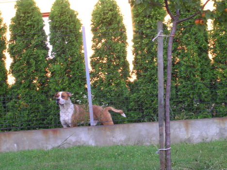 DSCN0330
