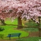 Evergreen_Park-Bremerton-Washington-USA