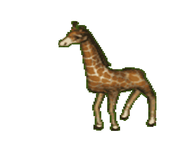 giraffewalk_ani_2