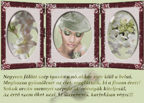 www.tvn.hu_f1c0c6d5c5acba7aca7589115a9bc96a