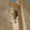 Edfu