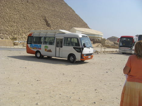 insight busz