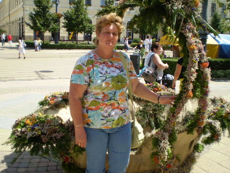Debreceni nyaralás 2010 015