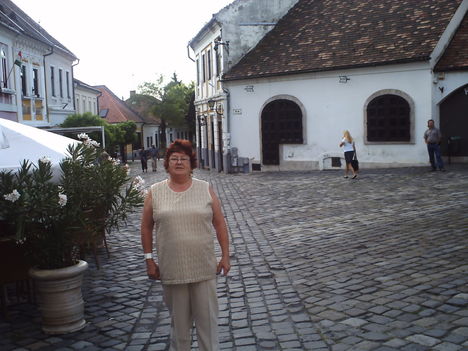Esztergom és Szentendrei képek 30