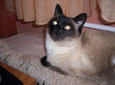manoka
