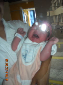 Picture 001