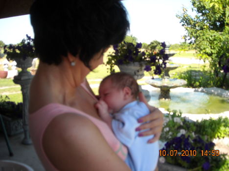 Picture 033