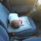 Picture 034