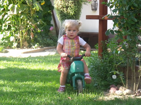 a vad motoros