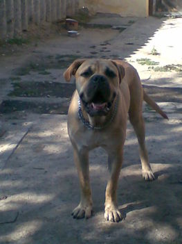 Kép005