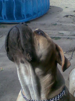 Kép015