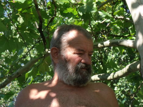 Papa