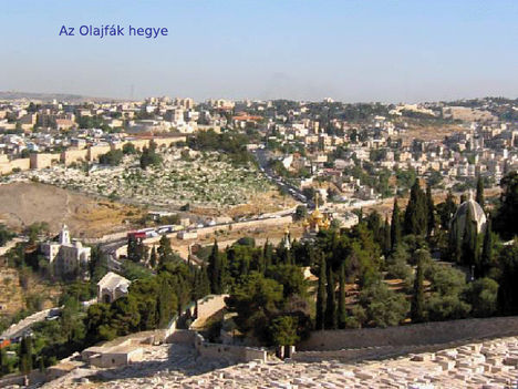 Jeruzsálem látnivalói 7
