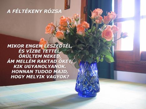 a_feltekeny_rozsa_114115_11585_n