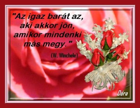 az_igaz_barat_390383_16570_n