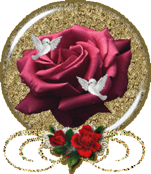vörös rózsa galambokkal