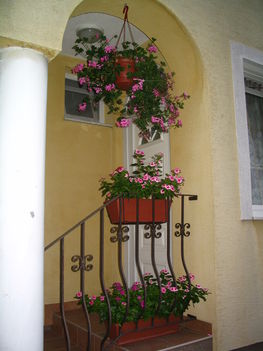 2010 nyár 078