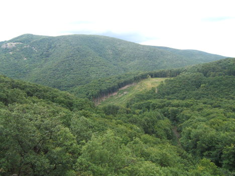 2010 szeptember 051