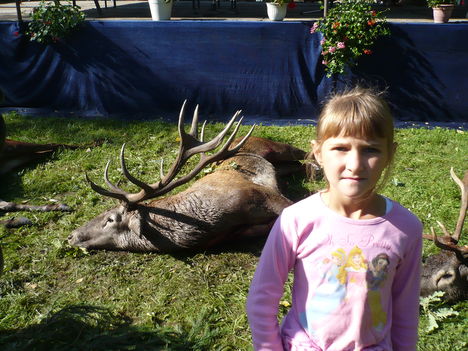 Zsófia és a bika