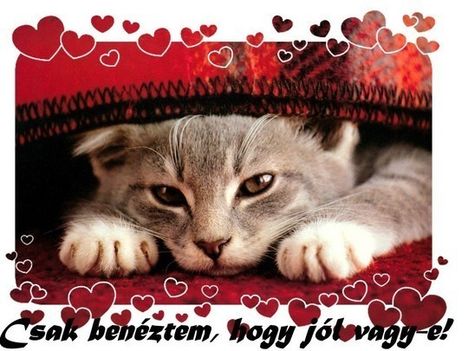 CSAK BENÉZTEM