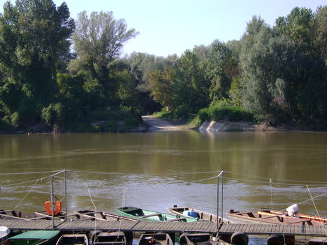 DSC01956