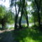 DSC01963