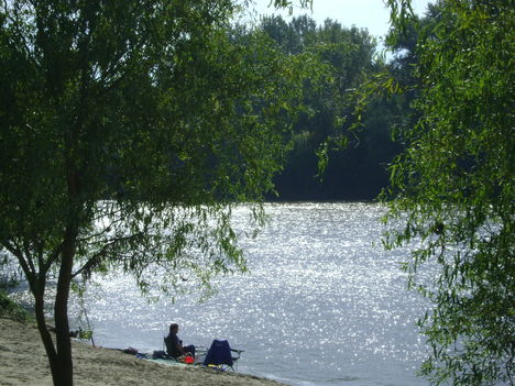 DSC01988