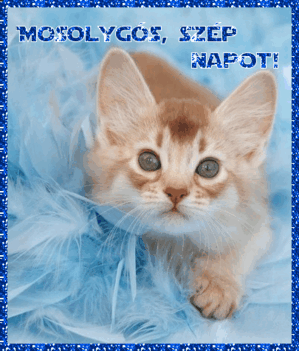 MOSÓLYGÓS SZÉP NAPOT