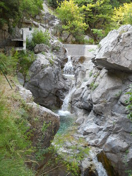 DSCN1477