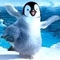 Táncoló pingvin