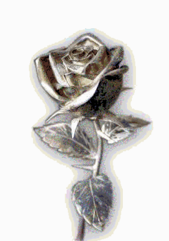Rózsák 10