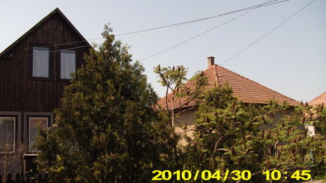 nyár 16