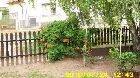 nyár 23