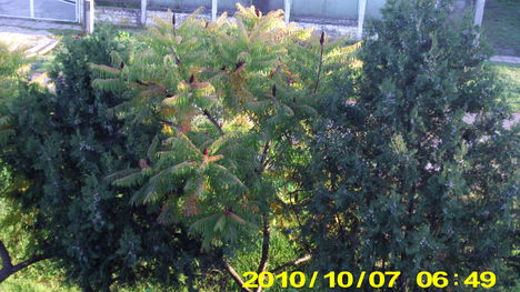 öszi képek 5