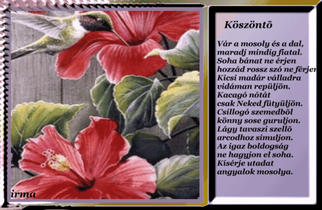 köszöntő