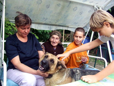 Szeretünk Buksi...