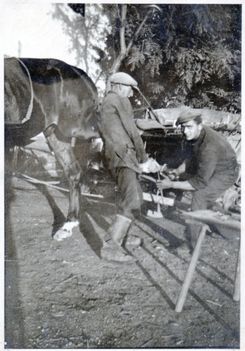 Lópatkolás 1950 Császárrét