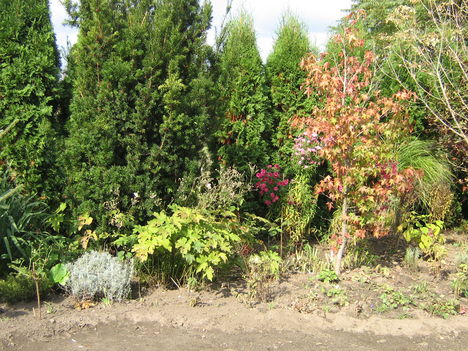 201010161 109